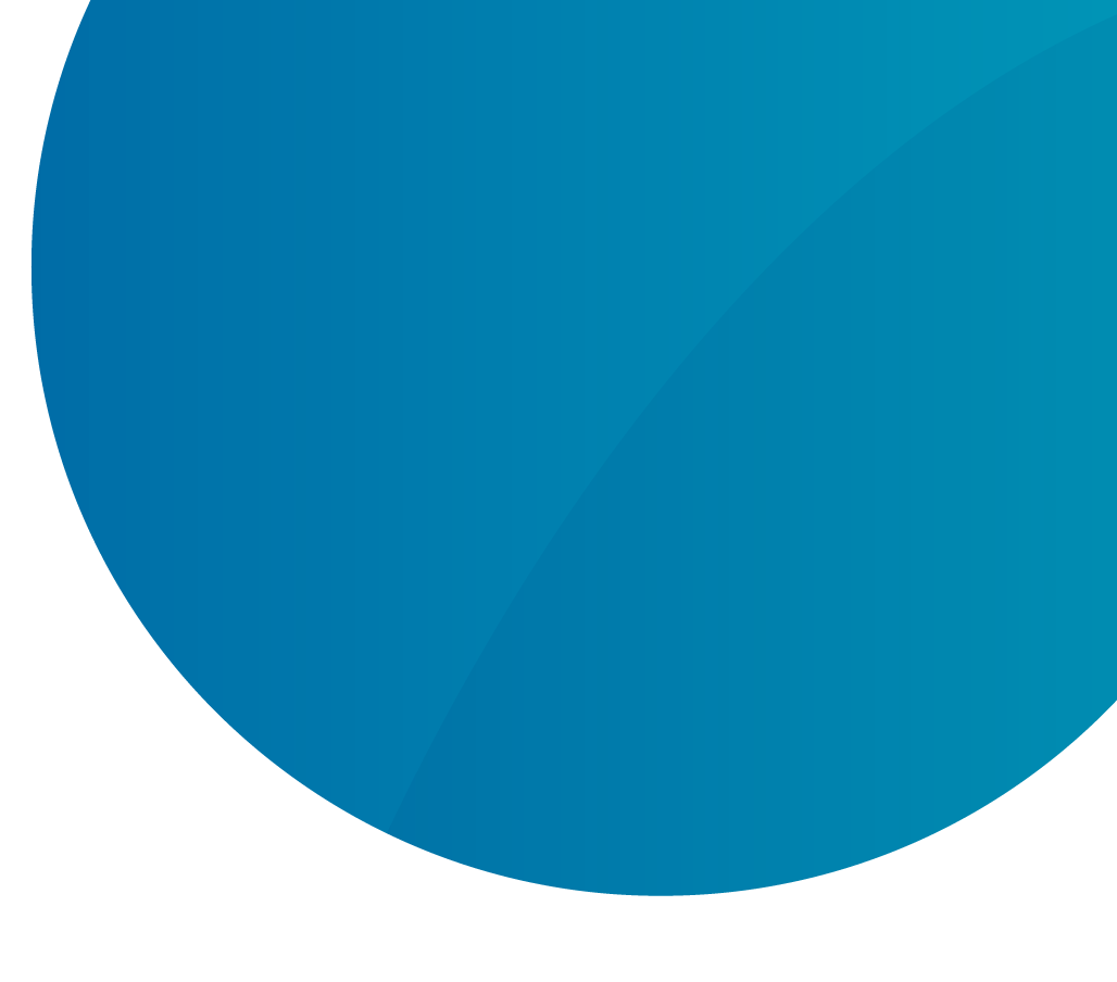 Real-time previewer